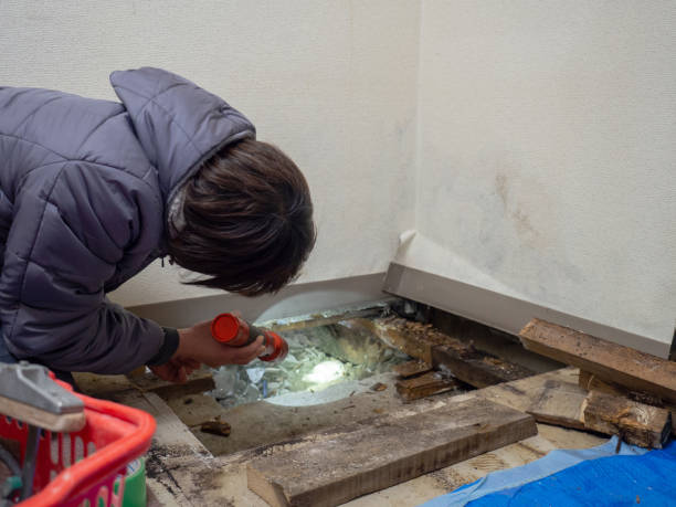 Best HVAC Mold Inspection and Cleaning  in Buffalo, WY