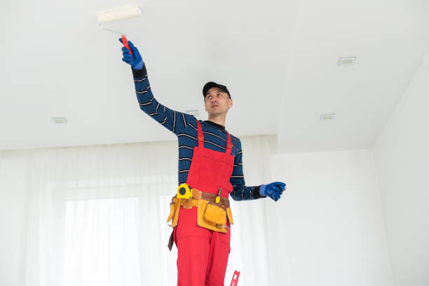 Best Basement Mold Removal  in Buffalo, WY