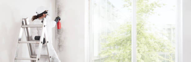 Best Mold Prevention Services  in Buffalo, WY