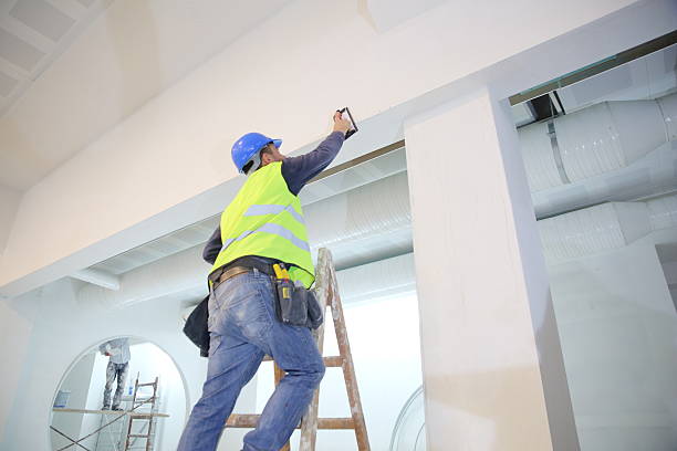 Best Mold Damage Restoration  in Buffalo, WY
