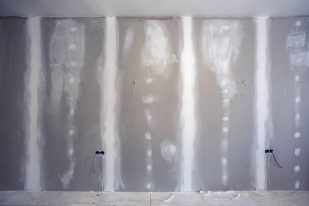 Trusted Buffalo, WY Mold Removal Experts